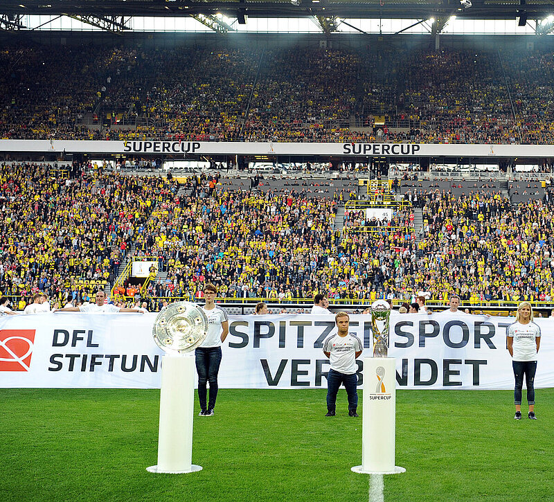 DFL Stiftung