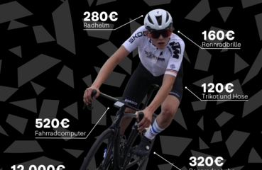 Kostengrafik Leon Brunner